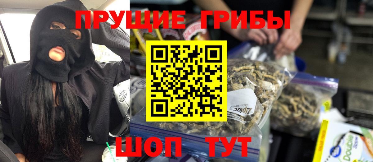 Кимовск  Галлюциногенные грибы Cubensis  Вход с VPN 